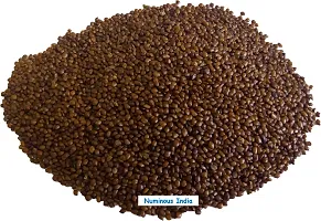 Numinous Hedge Lucerne/Velimasal/Dashrath/Desmanthus Virgatus Grass Fodder Seeds - 1 KG-thumb2