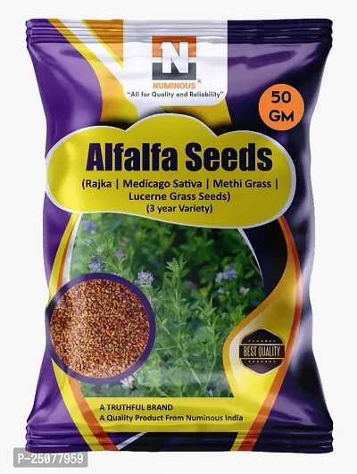 Numinous Alfalfa, Alfa Alfa, Lucerne, Medicago Sativa, Lucerne, Methi, Rajka 3 Sali Fodder Grass Seeds -3 Year Variety -50g-thumb0