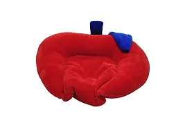 Rai Seeds Pillow 0 to 9 months baby-thumb2