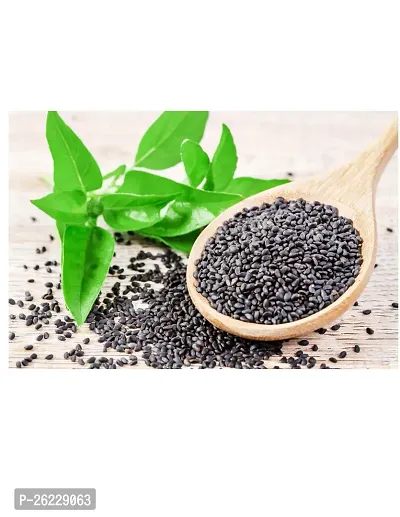 Basil Seeds Tukmariya Sabja Bapji Seed for Protein | Iron | Folic acid and Dietary Fibre |Calcium | Anti Oxidents for Weight Loss (Raw Seed ) Seed-thumb3