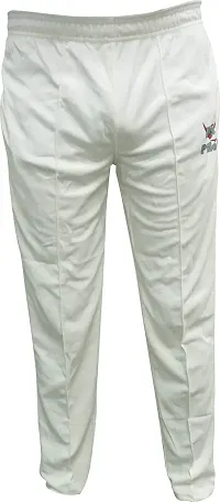 Trendy polyester track pants For Men 
