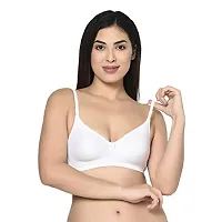 New Fancy Bra Pack of 6-thumb1