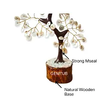 GEMTUB Handcrafted Natural Gomti Chakra Bonsai Fortune Tree for Wealth  Prosperity-Home Office D?cor Spiritual Gift with Golden Wire and 100 Beads Size 7-8 Inches-thumb3