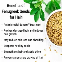 Natural Fenugreek (Methi) Hair Oil For Hair Growth  Massage 100 Ml-thumb2