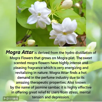 Pure Jangali Organics Natural Herbal Undiluted Floral Mogra Attar Perfume for Unisex, 10ml, jo re mogra attar 10ml pack 2-thumb2