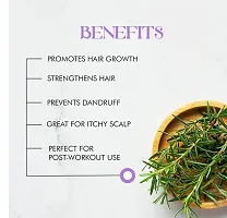 Rosemary Water For Hair Growth-thumb1