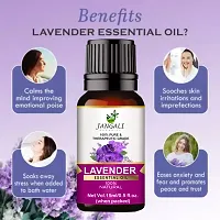 Lavender Essential Oil (15 Ml) Pack of 2-thumb3