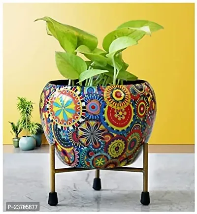 Beautiful Pots For Home Gardening