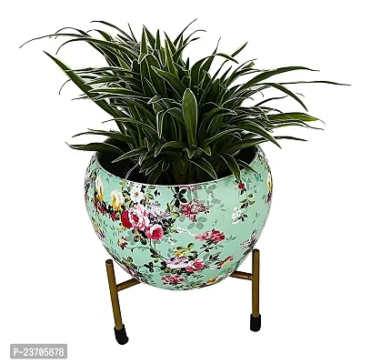 Beautiful Pots For Home Gardening