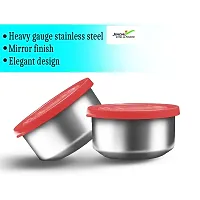 CrossPan Fresh Meal Stainless Steel Lunch/Tiffin Box -2Container Insulated Bag (Red)-thumb3