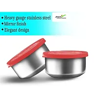 CrossPan Double Decker Executive Lunch/Tiffin Box (2 SS Container,1 Microwave Safe Container) (Red)-thumb2