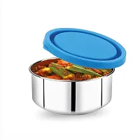 Double Decker Executive Lunch Tiffin Box 2 Ss Container 1 Microwave Safe Container-thumb4