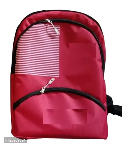 Stylish School Bag For Kid