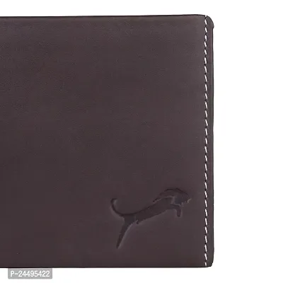 WILD EDGE Mens Brown Genuine Leather Wallet-thumb4