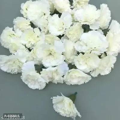 Artificial Loose White Carnation 25 Pcs for Home, Table, Pooja, festive  Events Decoration Flowers-thumb0