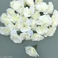 Artificial Loose White Carnation 50 Pcs for Home, Table, Pooja, festive  Events Decoration Flowers-thumb3