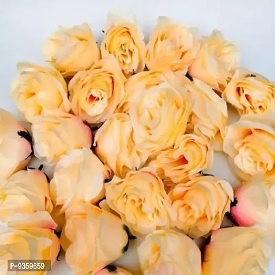 Artificial Loose Cream Rose 25 Pcs for Home, Table, Pooja, festive Events Decoration Flowers