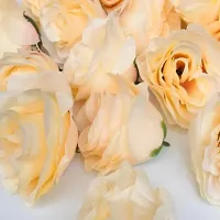 Artificial Loose Cream Rose 25 Pcs for Home, Table, Pooja, festive Events Decoration Flowers-thumb1