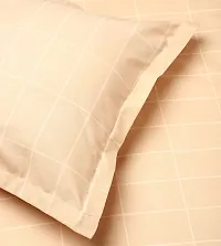 Belvostum 300 TC Soft 100% Organic Microfiber Checked Double Bedsheet with 2 Pillows Covers-thumb4