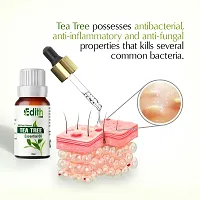 Tea Tree Oil For Skin  Hair Care  (15 ml)-thumb4