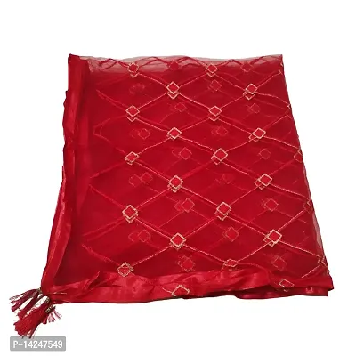 Jaipuri  Dupatta in Net Febric and Lace Latkan Border with Mirror Work Strip checked Surface (Red, 2.25 Meter Length)