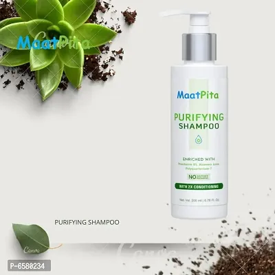Maatpitareg; Purifying Shampoo, Alovera Juice, Pro-Vitamin B5  Polyquartenium-7 With 2X C pack of 1