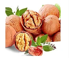 Hanumakkhya Dry Fruits Kashmiri Sabut Akhrot Zipper Pack Kashmiri Walnuts In Shell Grade A+, Paper Shell Kashmiri Walnut, 100% Natural-400Gm-thumb2