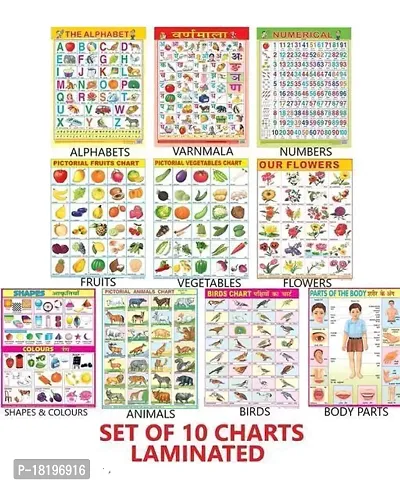 Educational Charts set for Kids | 45cmtimes;58cm (Extra Large Size to attract Kids) | Combo of 10 Chart Alphabet, Numbers, Birds, Animals, Hindi, Fruits, Vegetables, Flowers, Color Shape  Parts Of Body-thumb0