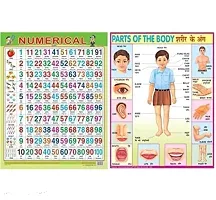 Educational Charts set for Kids | 45cmtimes;58cm (Extra Large Size to attract Kids) | Combo of 10 Chart Alphabet, Numbers, Birds, Animals, Hindi, Fruits, Vegetables, Flowers, Color Shape  Parts Of Body-thumb2