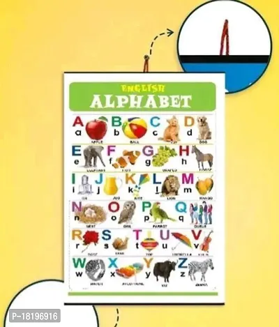 Educational Charts set for Kids | 45cmtimes;58cm (Extra Large Size to attract Kids) | Combo of 10 Chart Alphabet, Numbers, Birds, Animals, Hindi, Fruits, Vegetables, Flowers, Color Shape  Parts Of Body-thumb4