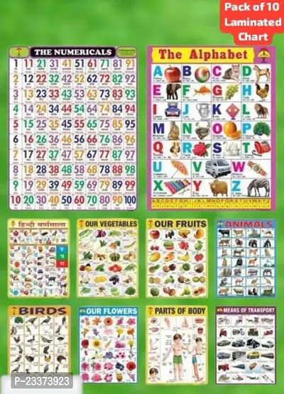 Educational 10 Laminated Charts 45cmtimes;60cm Parts of Body, Fruits, Means of transport, Animals, Birds, Numericals, Alphabet, Flower, Hindi Vanmala, Vegetables. Pack of 10*