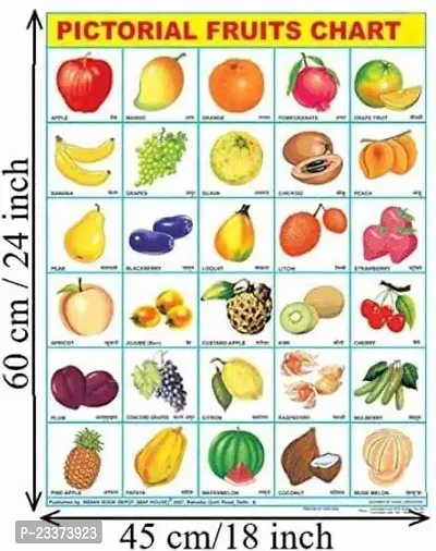 Educational 10 Laminated Charts 45cmtimes;60cm Parts of Body, Fruits, Means of transport, Animals, Birds, Numericals, Alphabet, Flower, Hindi Vanmala, Vegetables. Pack of 10*-thumb4