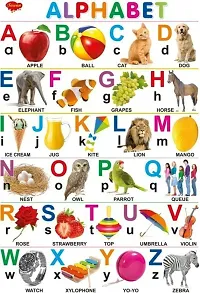 Educational 10 Laminated Charts 45cmtimes;60cm Parts of Body, Fruits, Means of transport, Animals, Birds, Numericals, Alphabet, Flower, Hindi Vanmala, Vegetables. Pack of 10*-thumb4