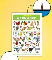 Educational 10 Laminated Charts 45cmtimes;60cm Parts of Body, Fruits, Means of transport, Animals, Birds, Numericals, Alphabet, Flower, Hindi Vanmala, Vegetables. Pack of 10*-thumb2