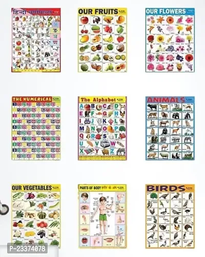 Educational learning Laminated HD Wall Chart | Size 45X60 CM | Non-Tearable and Waterproof | Pack of 9
