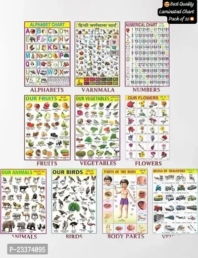 Educational Laminated HD Wall Chart For Kid's | Size 45X60 CM | Non-Tearable and Waterproof | Pack of 10 Attractive