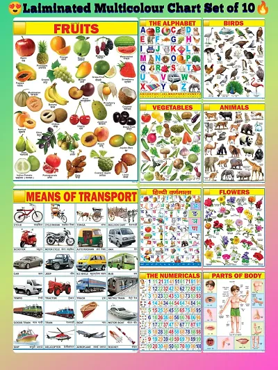 Early Learning Educational Laiminated Multicolour Charts Set For Kids | Size 45X60 cm