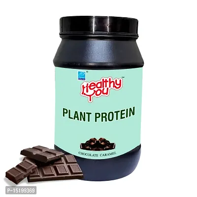 HEALTHY YOU Organic Plant Protein Plant-Based Protein, 1 Kg, Chocolate Caramel