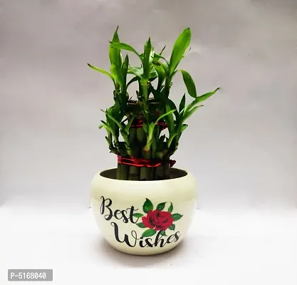 Two Layer Bamboo with best wishes Metal Pot-thumb0