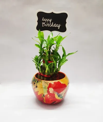 Two Layer Bamboo with Designed Metal Pot and love you tag