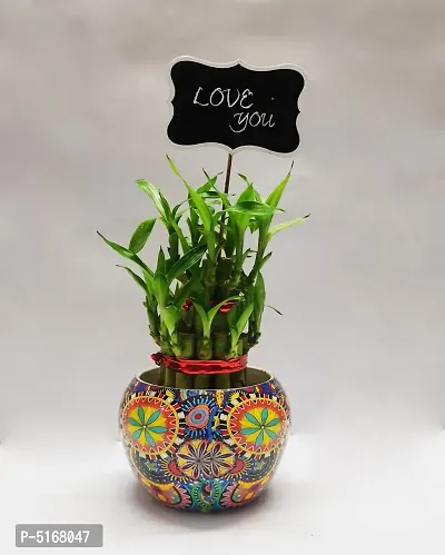 Two Layer Bamboo with Designed Metal Pot and love you tag-thumb0