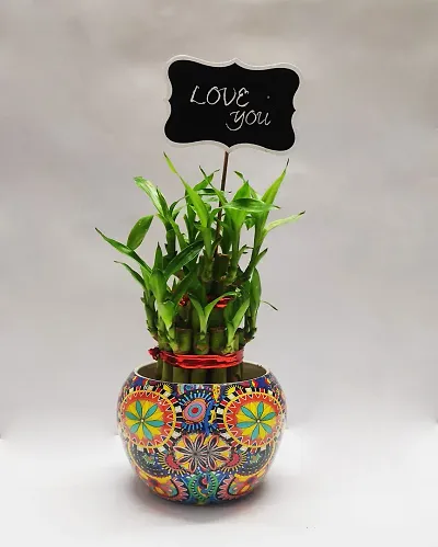 Two Layer Bamboo with Designed Metal Pot and love you tag