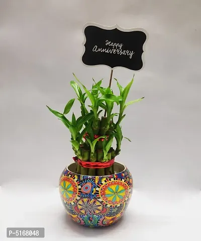 Two Layer Bamboo with Designed Metal Pot and anniversary tag-thumb0