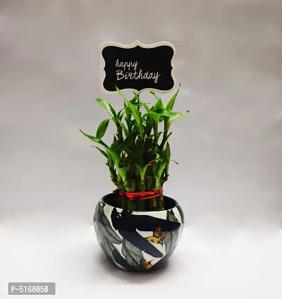 Two Layer Bamboo with Designed Metal Pot and birthday tag-thumb0