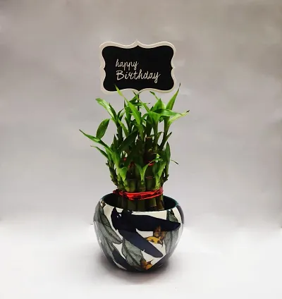 Two Layer Bamboo with Designed Metal Pot and birthday tag