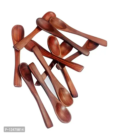 CRAFTCASTLE Wood Masala Handmade Spoon for Small containers,Tea, Coffee, Sugar, Condiments and Spices(Set of 12)