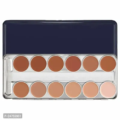 KASCN Professional 12 Supracolor Silky Smooth, Super Blendable, Waterproof and Long Lasting foundation Palette