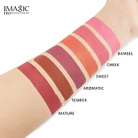 Imagic Touch Blusher Palette - Elevate Your Look with 6 Professional Multicolor Shades-thumb1