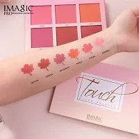 Imagic Touch Blusher Palette - Elevate Your Look with 6 Professional Multicolor Shades-thumb2