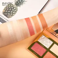 IMAGIC's Innovative 6-Color Hybrid Palette for Mesmerizing Highlights, Blush, and Contour-thumb2